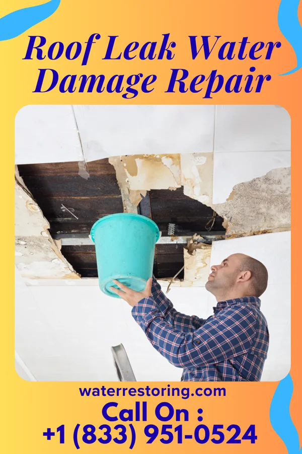 Roof Leak Water Damage Repair in Junction City, IL