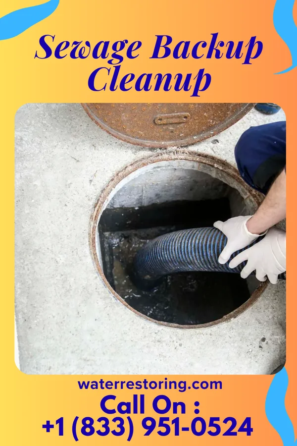Sewage Backup Cleanup in Junction City, IL