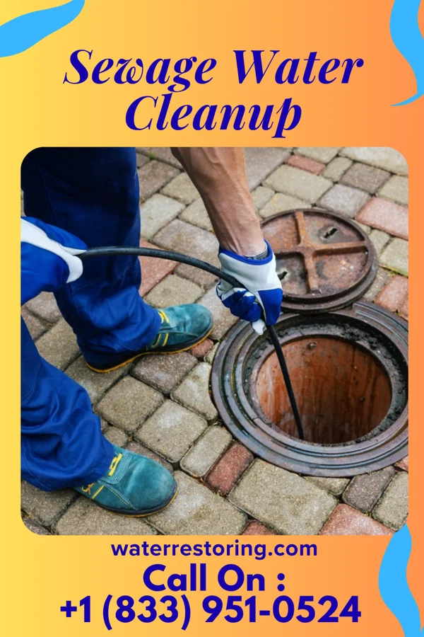 Sewage Water Cleanup in Junction City, IL